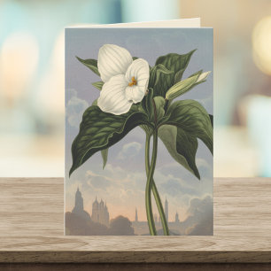 White Trillium Flower Temple of Flora Style Blank Card