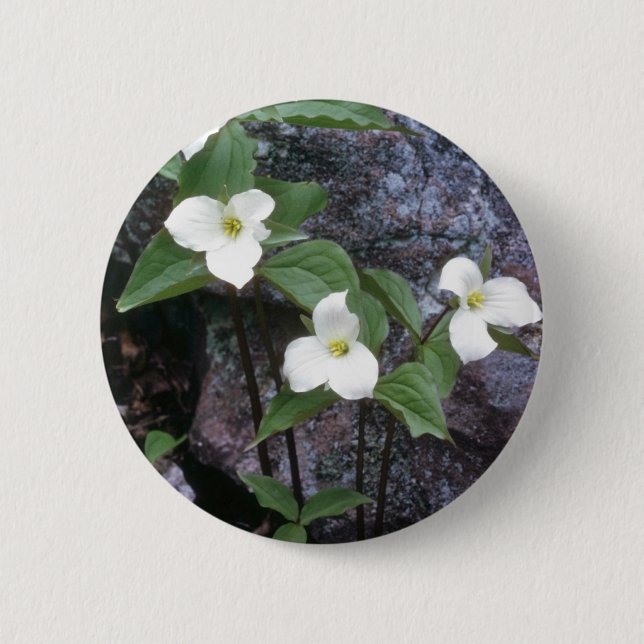 white Trillium flowers 6 Cm Round Badge (Front)
