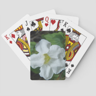 White Tropical Flower Found on Fiji Playing Cards