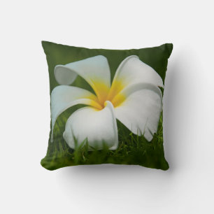White tropical flower (frangipani) close up cushion