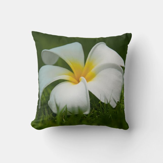 White tropical flower (frangipani) close up cushion (Front)