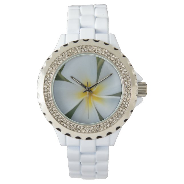 White Tropical plumeria Flower From Fiji Watch (Front)
