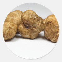 White truffles of the species tuber oligospermum.