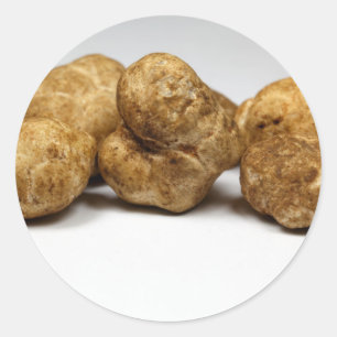 White truffles of the species tuber oligospermum. classic round sticker