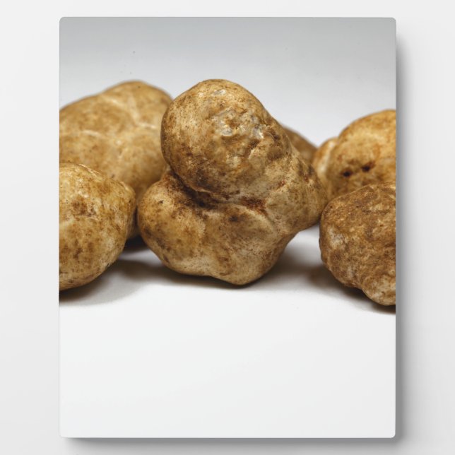 White truffles of the species tuber oligospermum. plaque (Front)