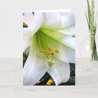 White Trumpet Lily Thank You Card