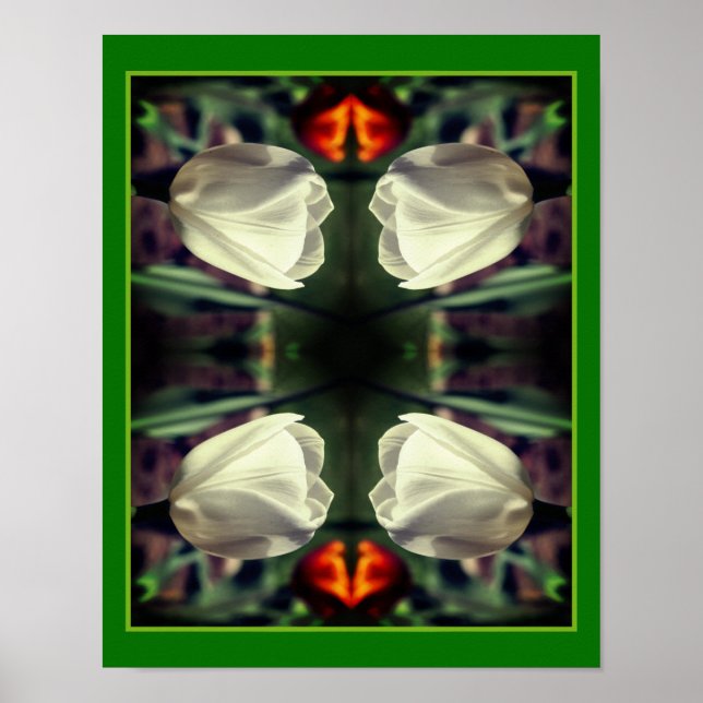 White Tulip Flower In Sunlight Abstract Poster (Front)