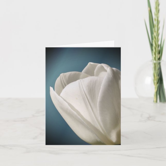 White Tulip Flower Photography  Note Card (Front)