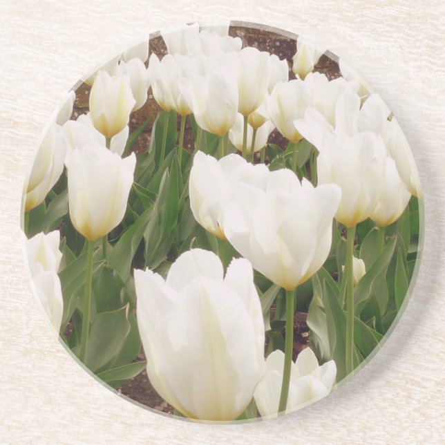 White Tulip Flowers Coaster (Front)