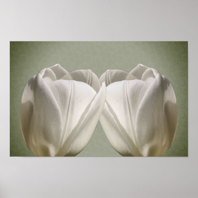 White Tulip Flowers Poster (Front)