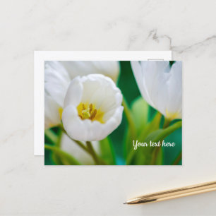 White Tulip Greeting card
