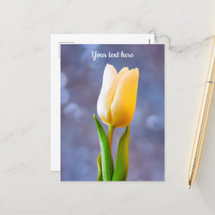 White Tulip Postcard