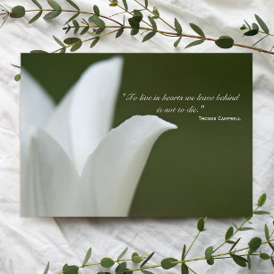 White Tulip Thank You for Your Sympathy Card