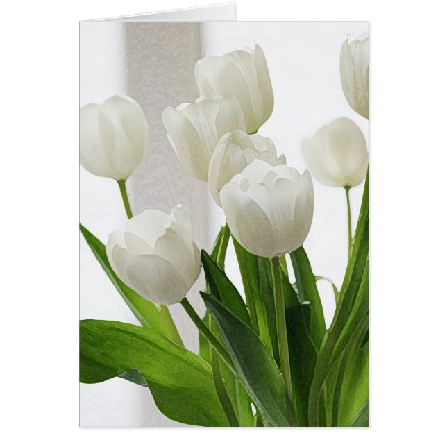 White Tulips - art-db (Front)