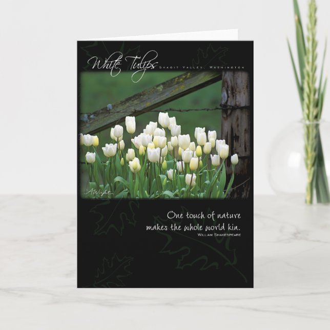 White Tulips by Anna Wight Card (Front)