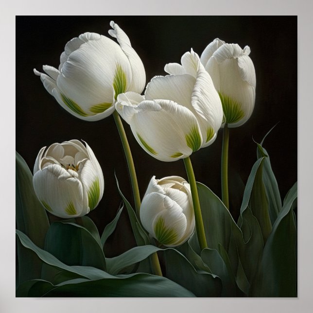 White Tulips Flower Art Print Poster (Front)