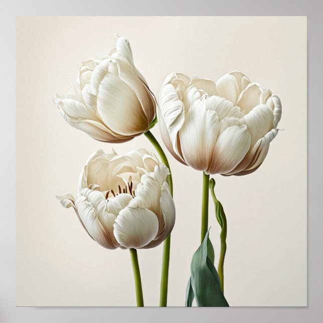 White Tulips Flower Art Print Poster (Front)