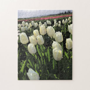 White Tulips in a Field, Oregon Jigsaw Puzzle