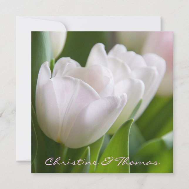 White tulips ・ Save the Date postcard (Front)