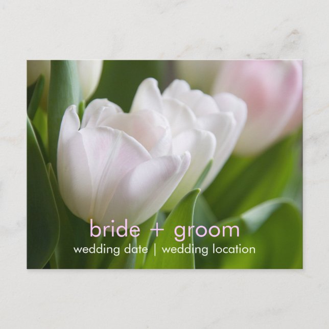 White Tulips • Save the Date Postcard (Front)