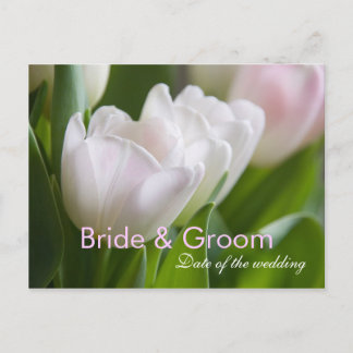 White Tulips • Save the Date Postcard