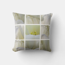 White Tulips Squared - Fine Art Photograph