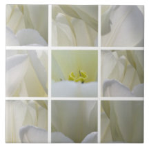 White Tulips Squared Tile