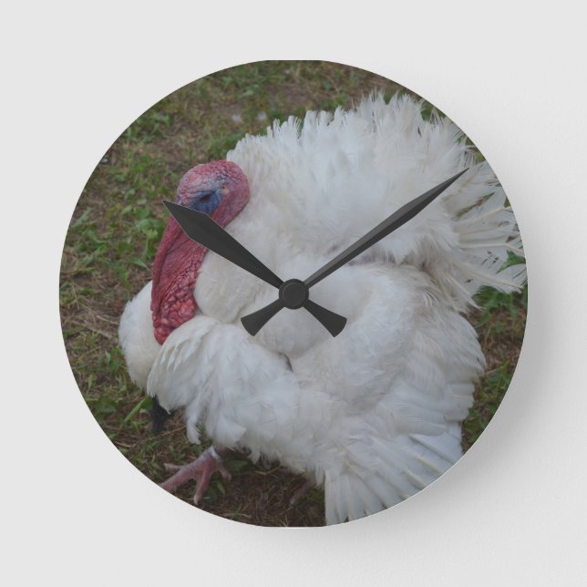 White Turkey Round Clock (Front)