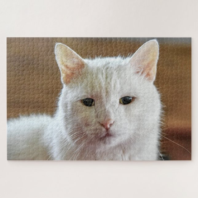 White Turkish Angora Cat Portrait Jigsaw Puzzle (Horizontal)