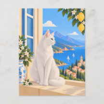 White Turkish Angora Mediterranean