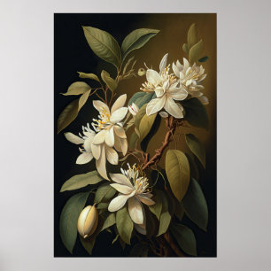 White Vanilla Flowers Art Print Poster