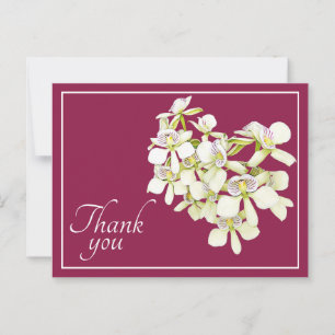 White Veined Orchids Crimson Background Thank You Postcard