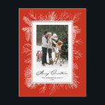 White Vintage Botanical Frame Red Photo Holiday Postcard<br><div class="desc">Merry Christmas! This photo Christmas postcard features a vintage-style white botanical frame in fine line art that adds a soft, elegant border around your image. Available in a range of background colours, it pairs beautifully with black and white or colour photos. The simple layout is perfect for holiday greetings, announcements,...</div>