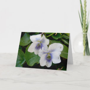 White Violet Pair Note Card