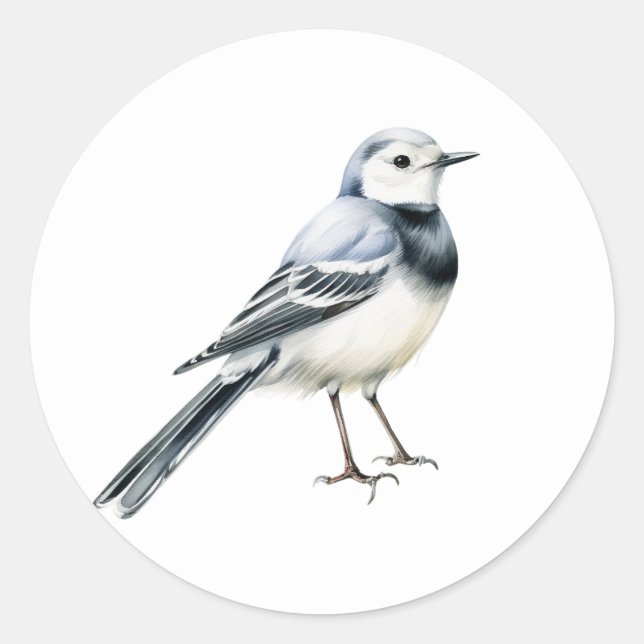 White Wagtail Bird Stickers (Front)