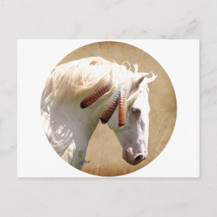 White War Horse Postcard