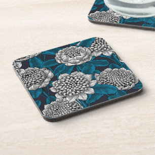 White waratah flowers coaster