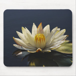 White water lilly mousemats - customisable