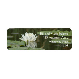 White Water Lily Flower Pads Reflection in Pond