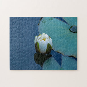 White water lily in the pond, nature photography jigsaw puzzle