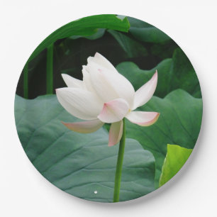 White Water Lily Paper Plate