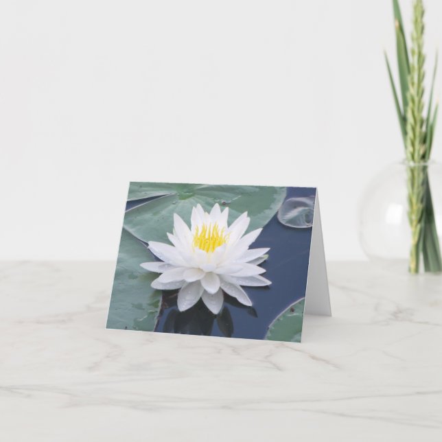 White Water Lily Photo Folded Note Card (Front)