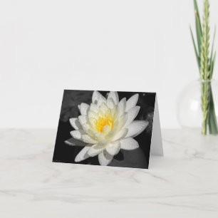 White Water Lily Photograph Card