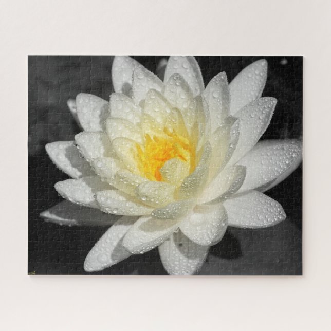 White Water Lily Photograph Jigsaw Puzzle (Horizontal)