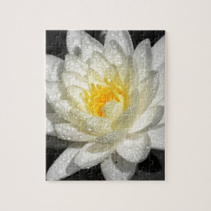 White Water Lily Photograph Jigsaw Puzzle