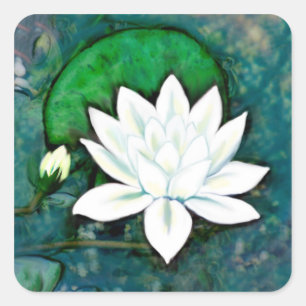 White Water Lily Stickers