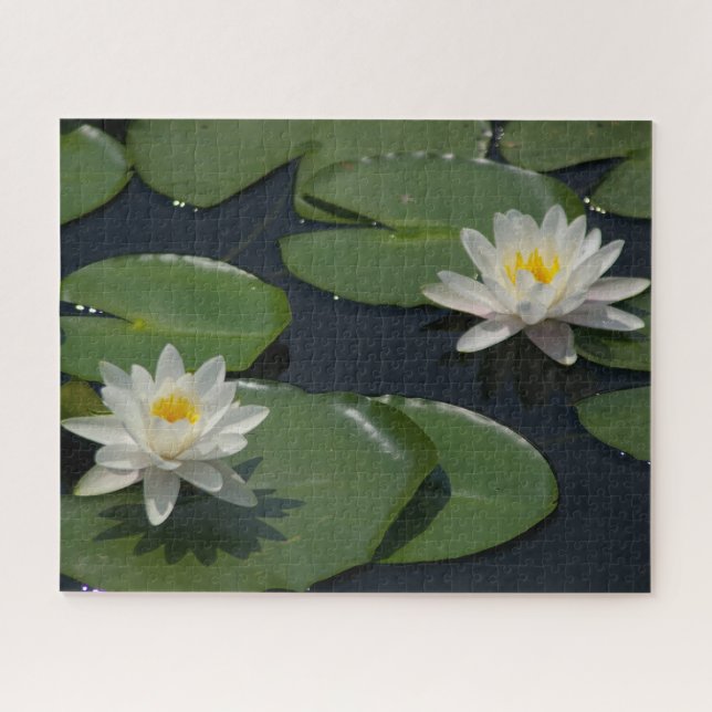 White Waterlilies Jigsaw Puzzle (Horizontal)