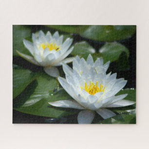 White Waterlilies Jigsaw Puzzle