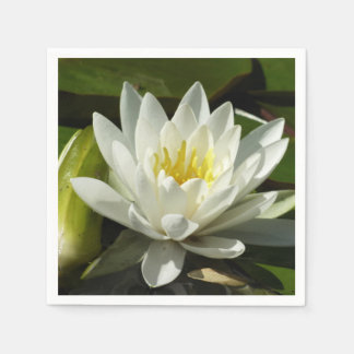 White Waterlily and Bud Floral Napkin