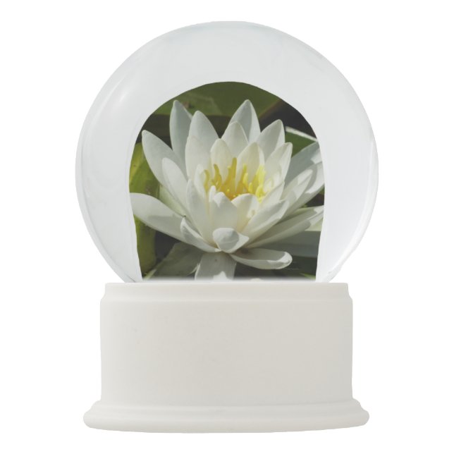 White Waterlily and Bud Floral Snow Globe (Front)